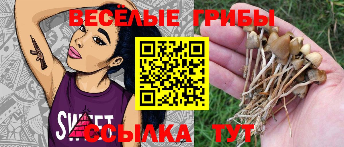Галлюциногенные грибы Cubensis  Вход с VPN  Скопин 